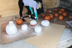 spraying-pumpkins